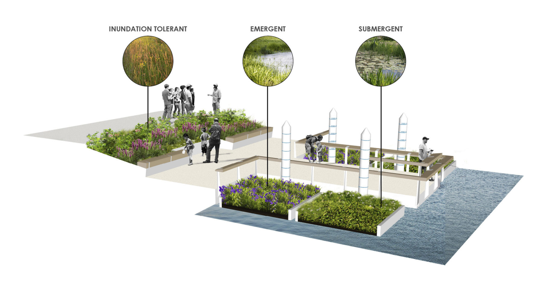 diagram of plantings