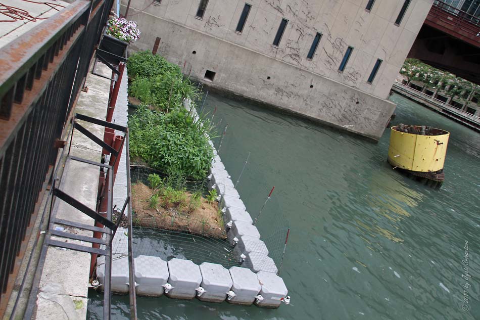 photo of fish hotel in river