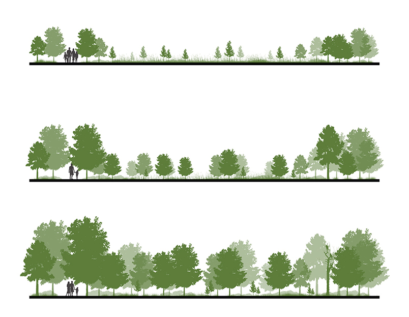 diagram of trees