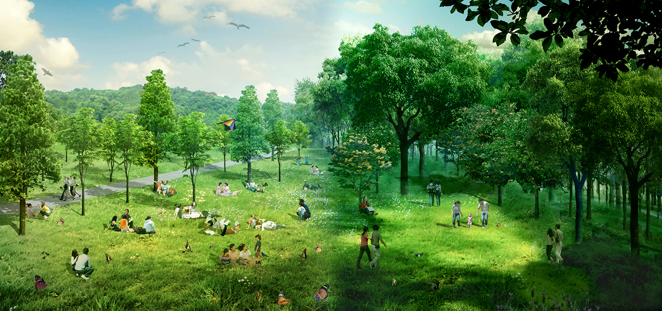 rendering of park