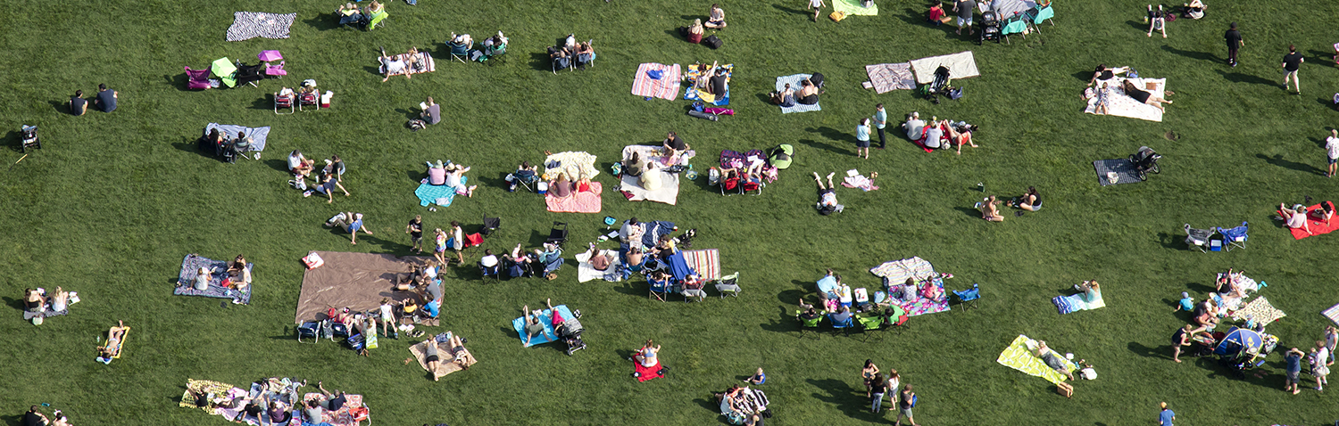 overhead photo of people on grass