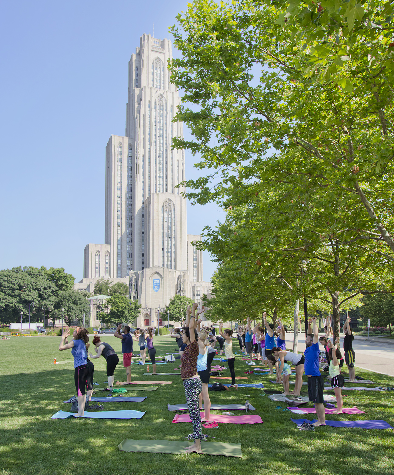 people doing yoga on lawn