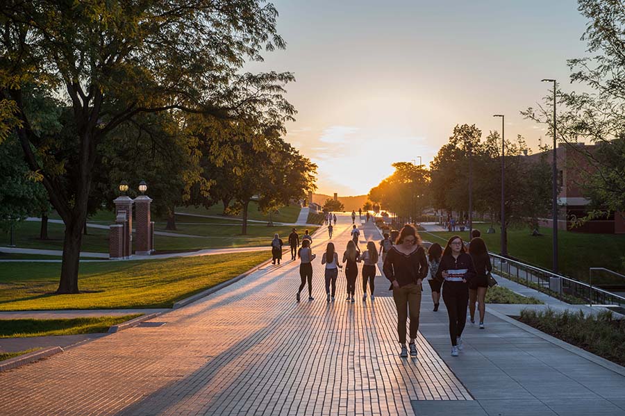 photo of people walking down a path