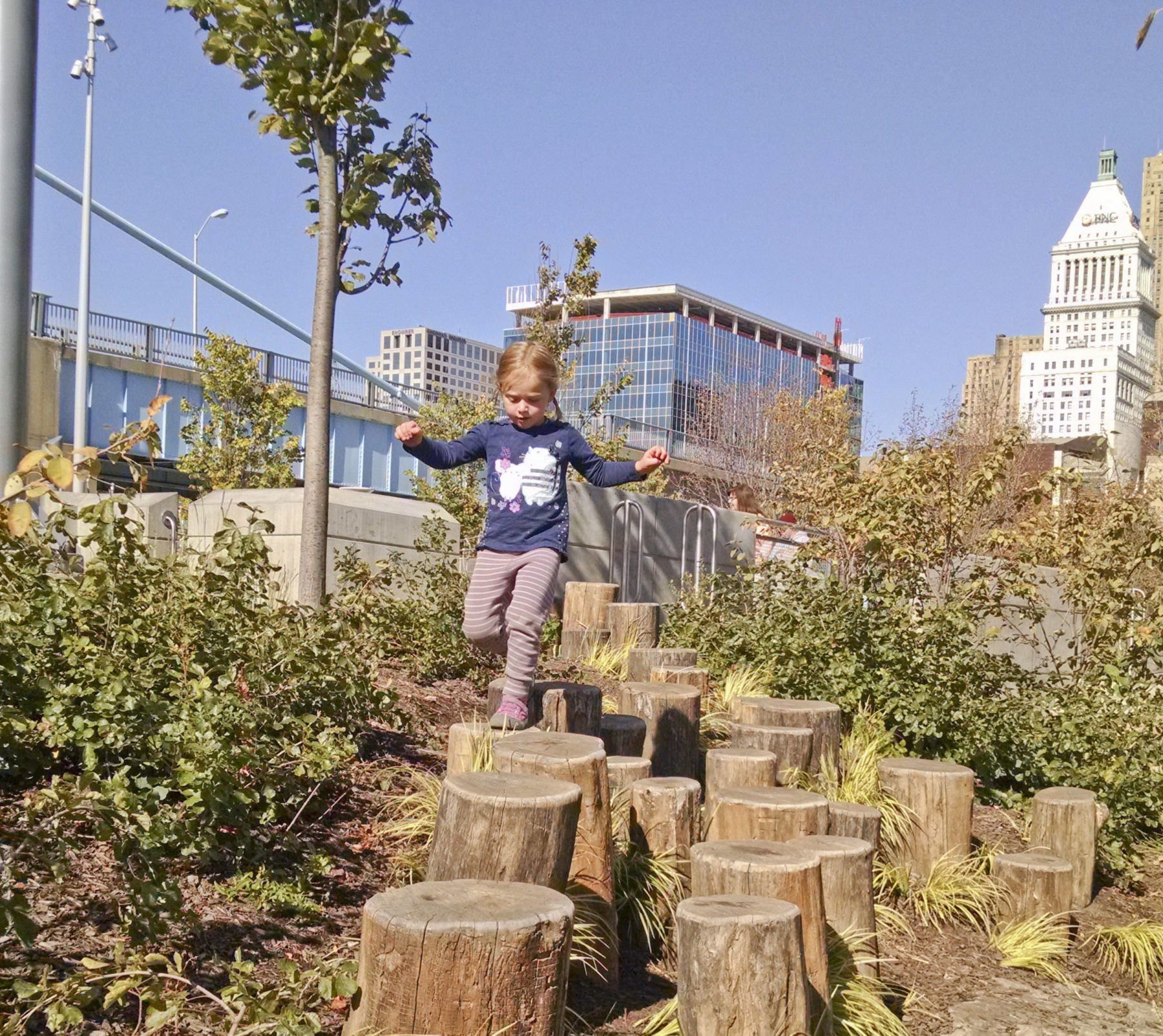 kid jumping on tree trunks