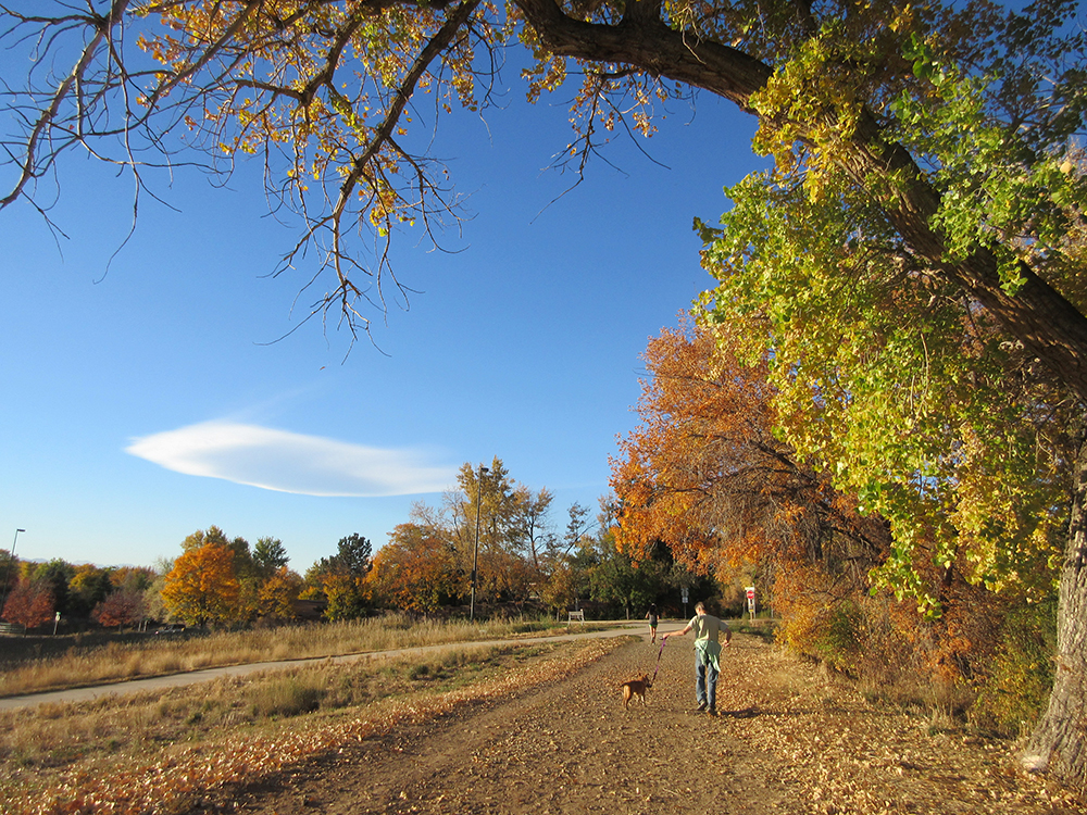 person walking dog down a path in the fall