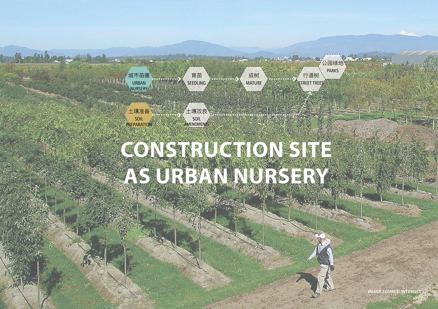 graphic of urban nursery