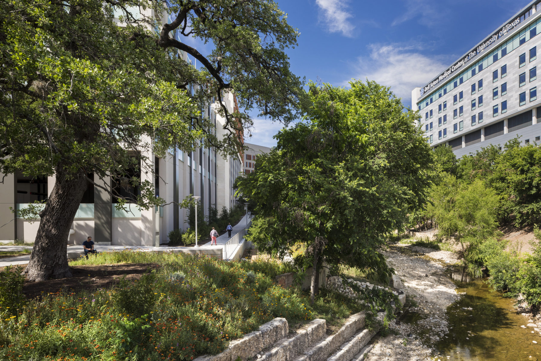 A stream next to trees and buildings