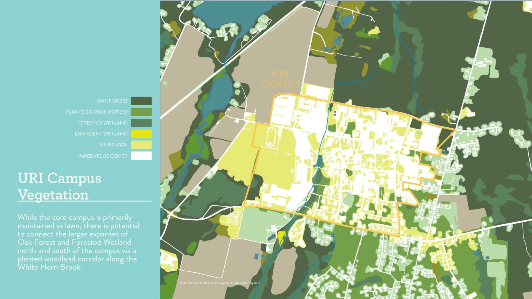 A map of vegetation types