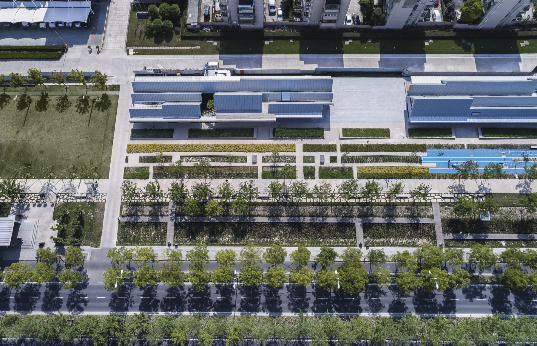 Bird's eye view of trees and plantings in park