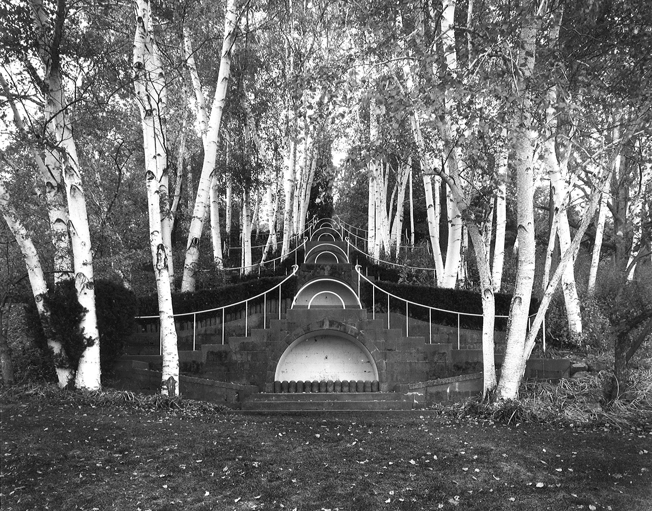 photo of stairs lined with trees