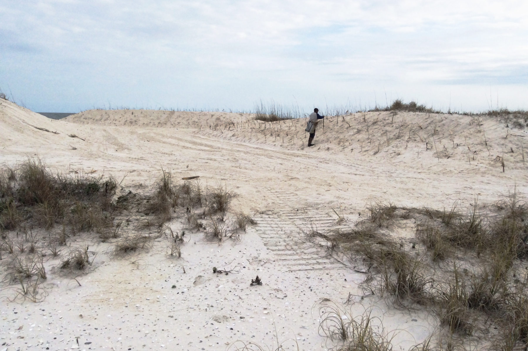 Sand Dunes at Gulf State Park