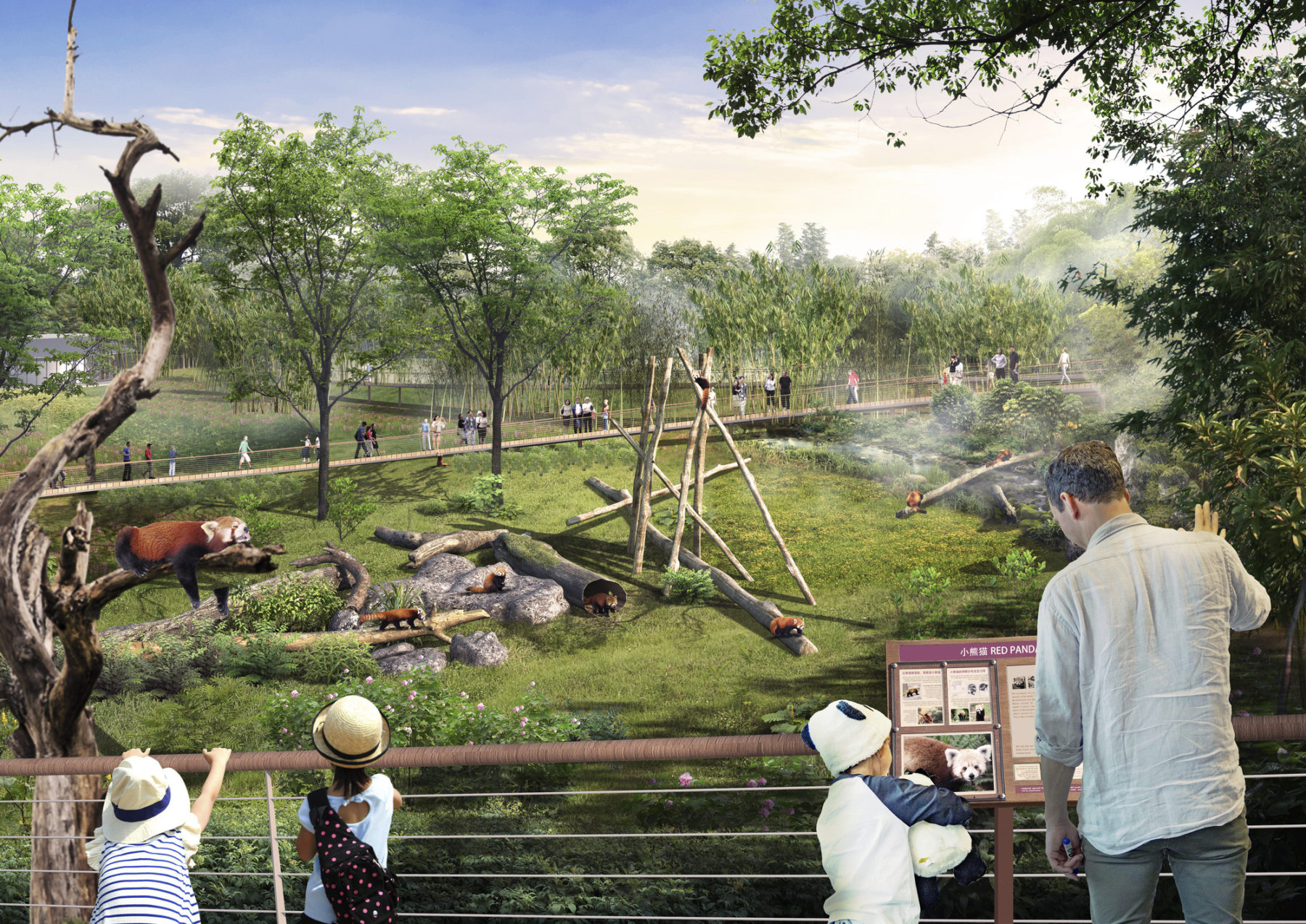 Children admire red pandas at the Chengdu Panda Preserve