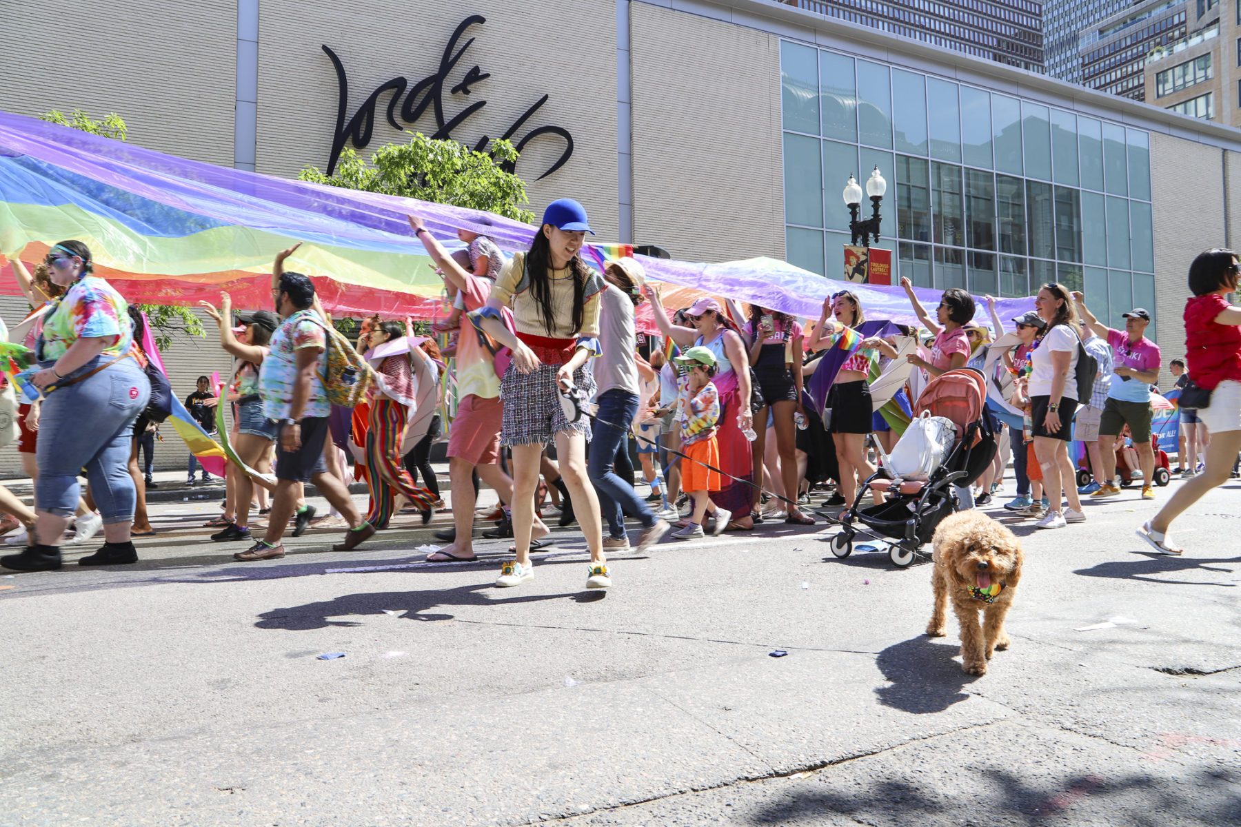 People gathered under a large pride flag, in the foreground a dog on a lease joins the parade