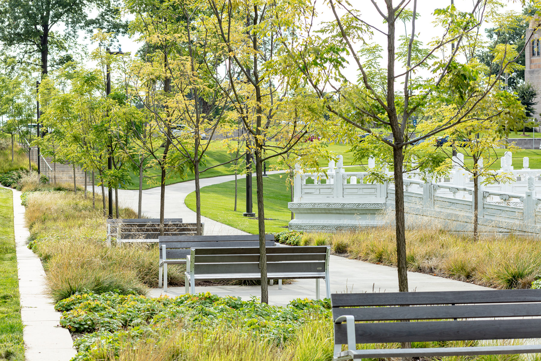 looking out across benches and pathway and trees