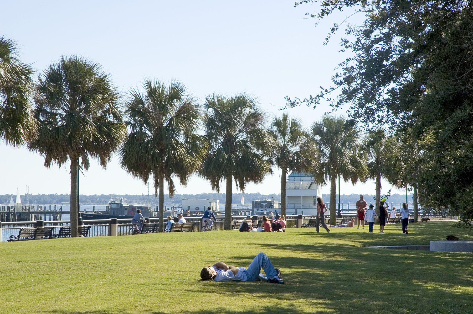 Photo of man lounging on grass in park