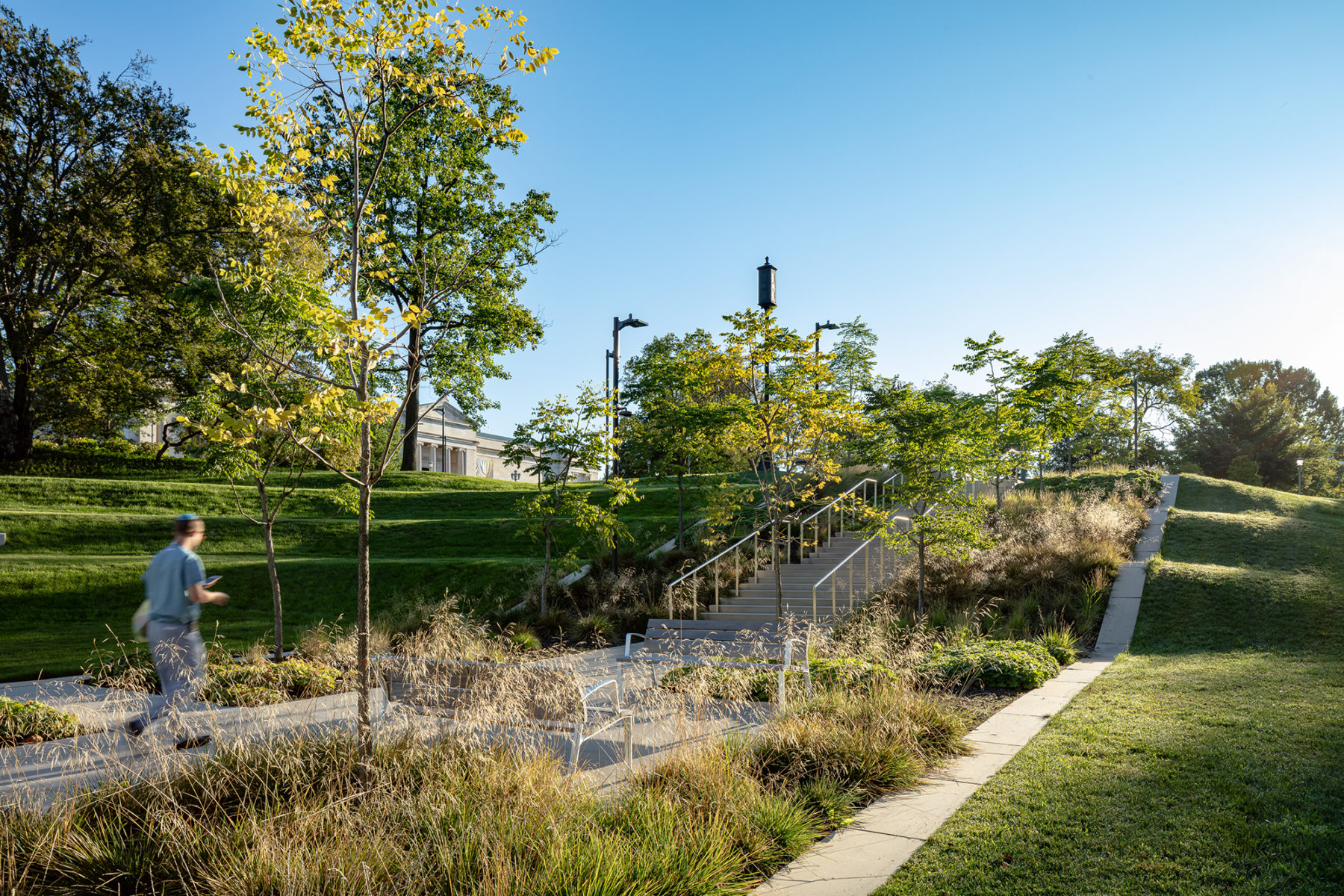 sunlight lighting up pathway towards hill