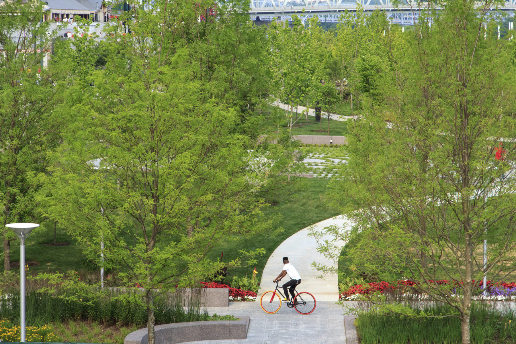 Biker on trail