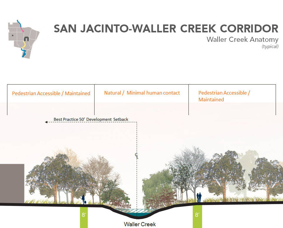 Section through Waller Creek Corridor