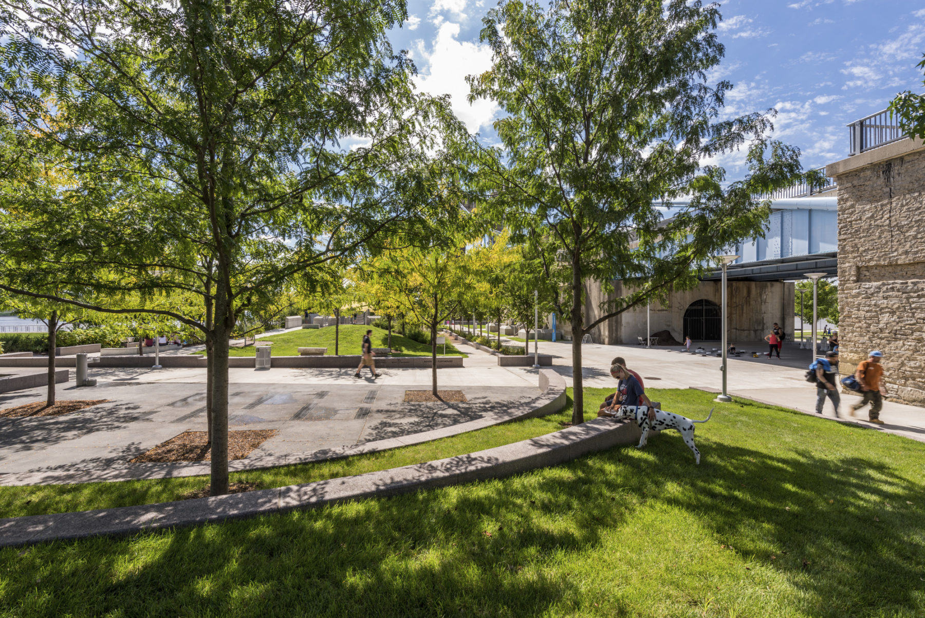 woman sitting under tree with Dalmatian