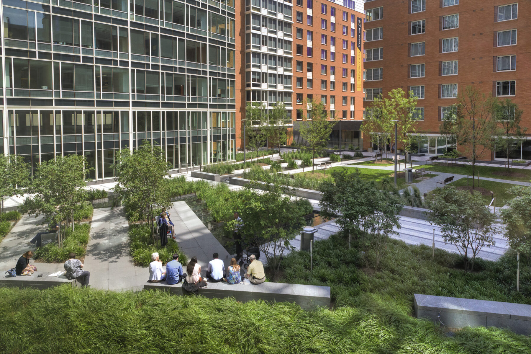 perspective shot of park with people sitting on bench