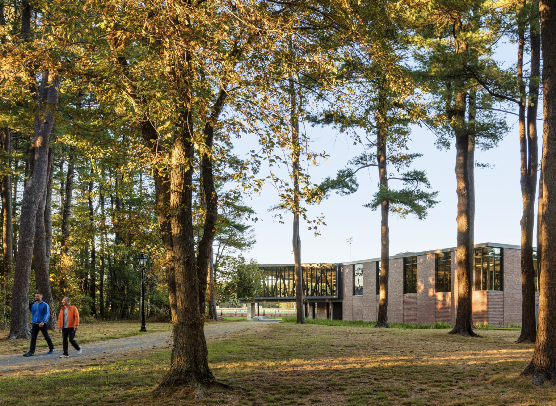 the building through the trees