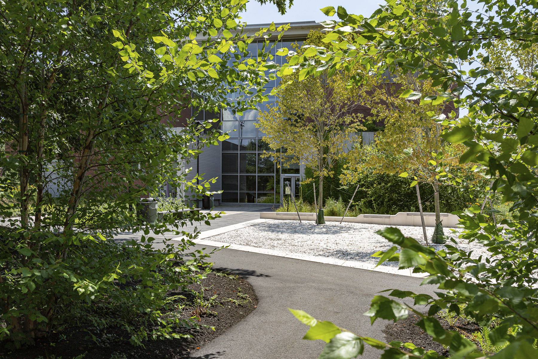 Entryway image through bushes