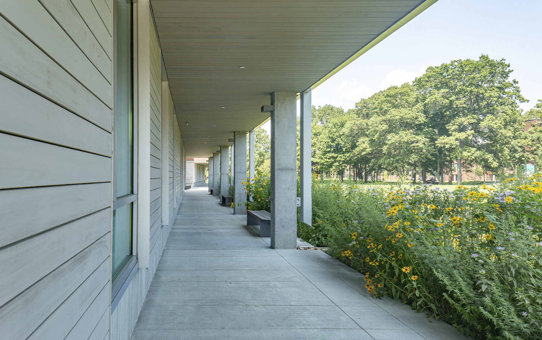 Image of planted flowers along walkway