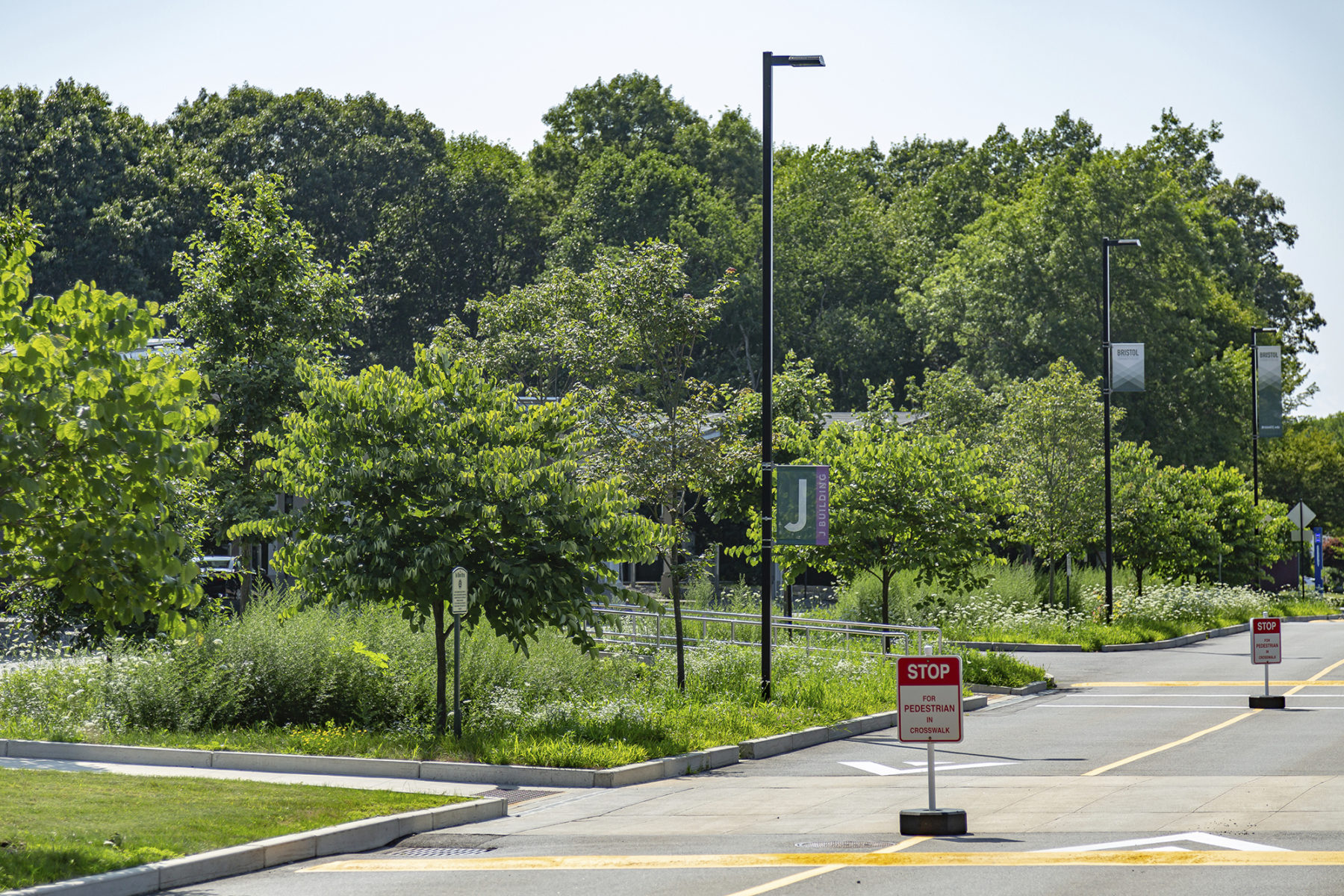 Walkway from parking area image