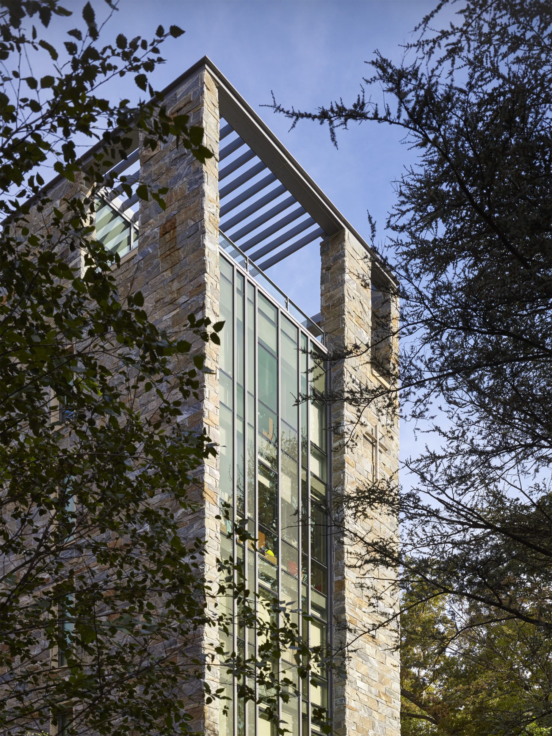 The building through the trees