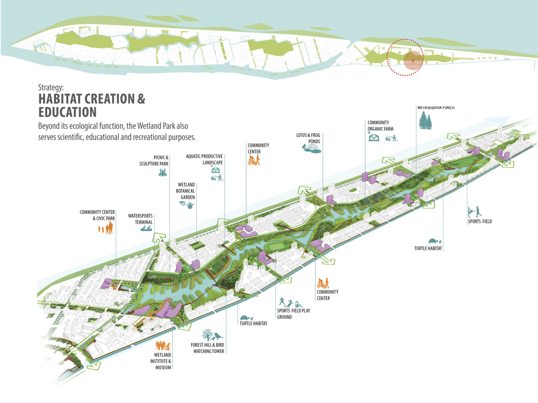 diagram of habitat creation and education at the site