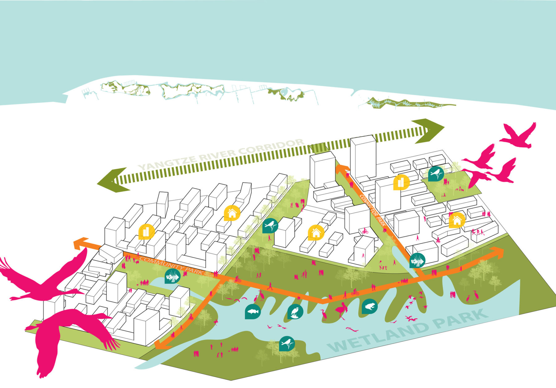 diagram of animals at the site