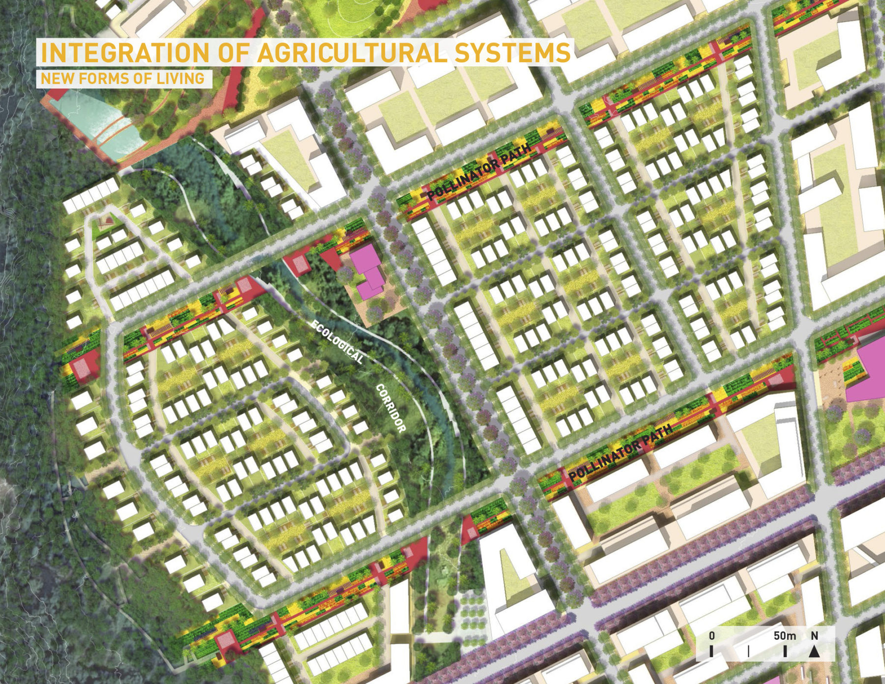 Ananas New Community with cultural hub, sports center, agricultural research, ecological corridors, and others