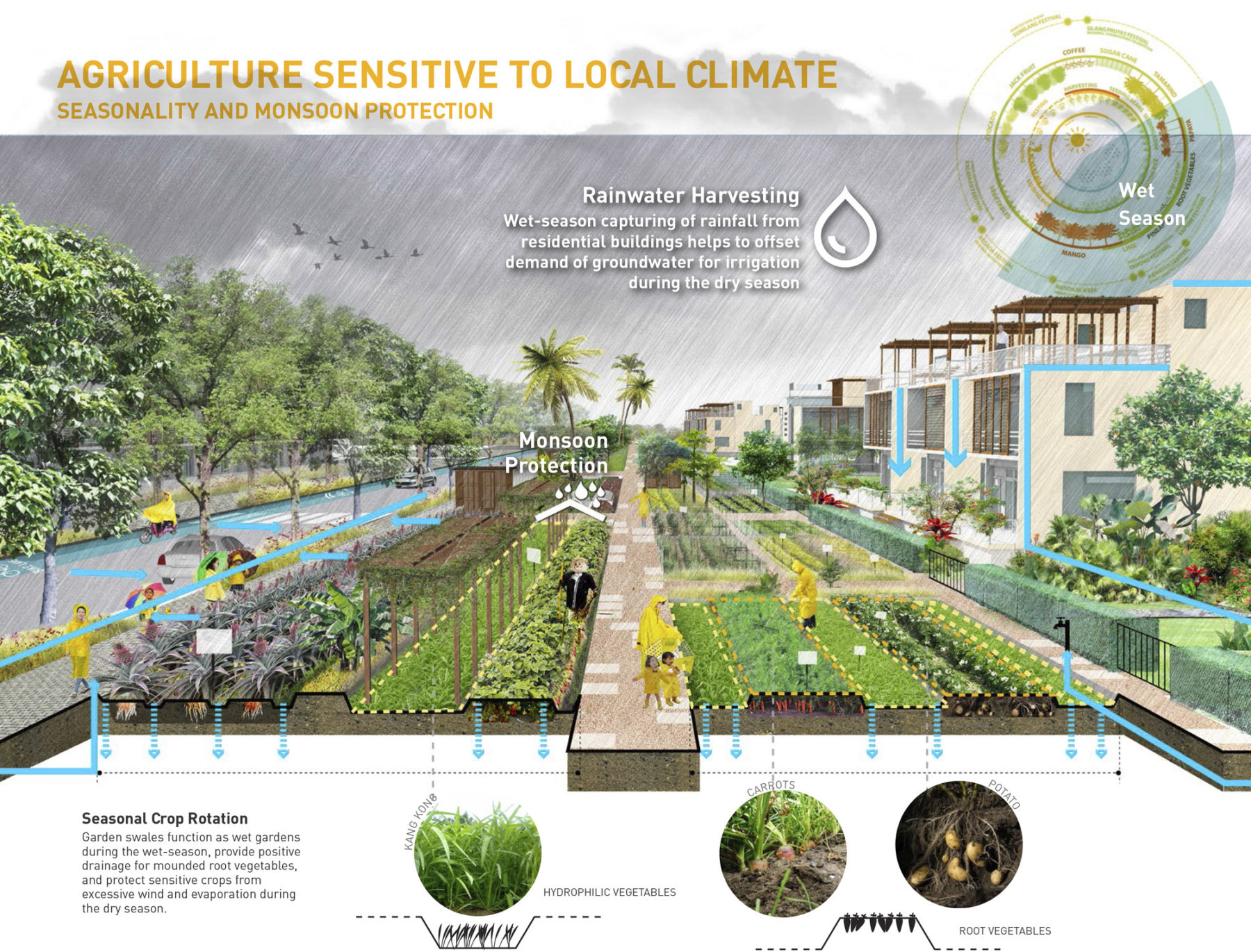 Diagram of climate sensitive agriculture
