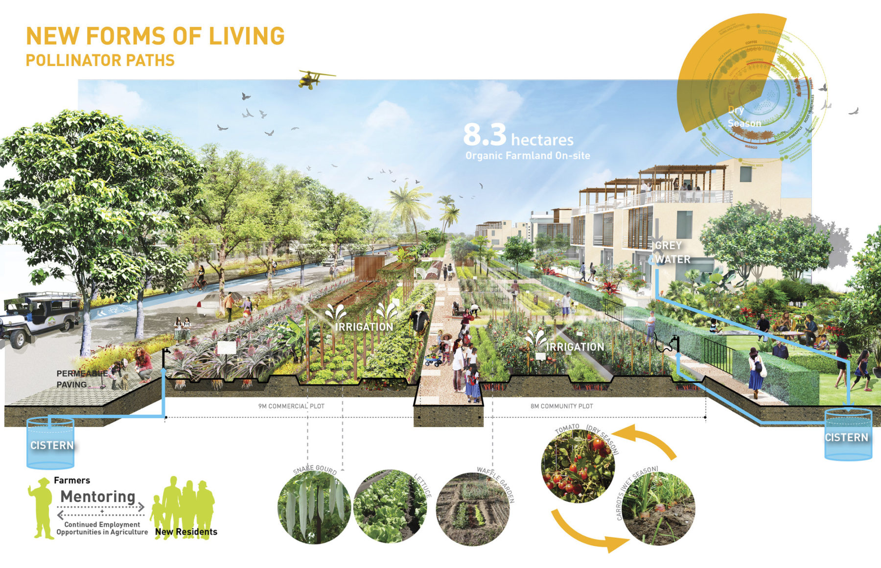 Advanced diagram of pollinator paths