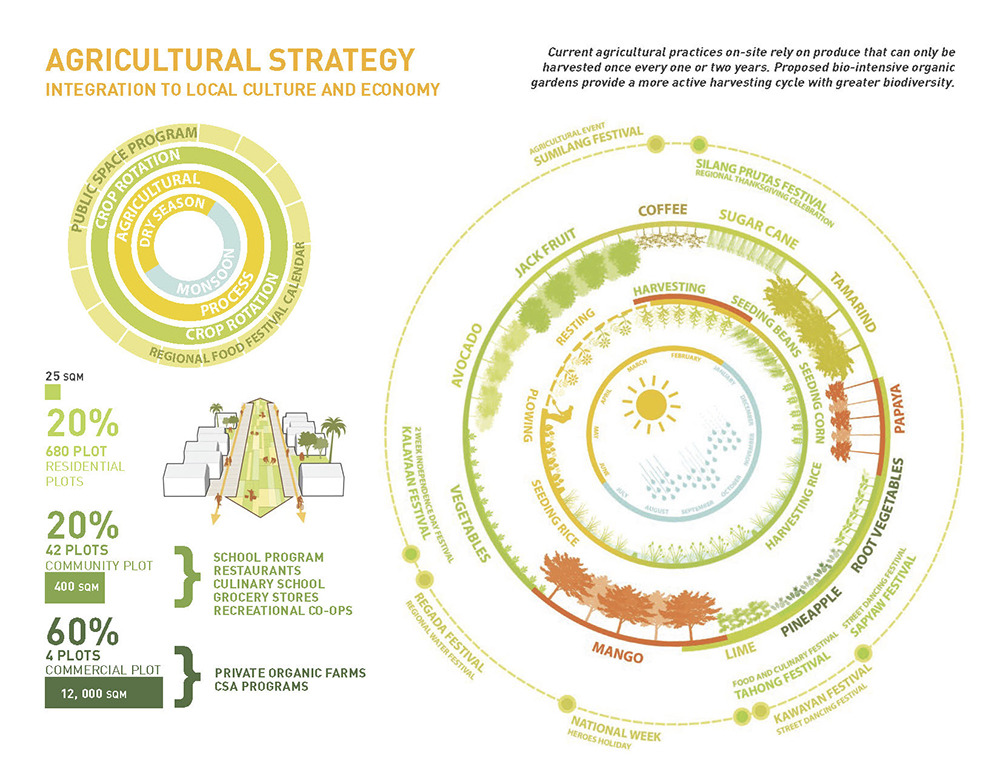 Diagram of agricultural strategy