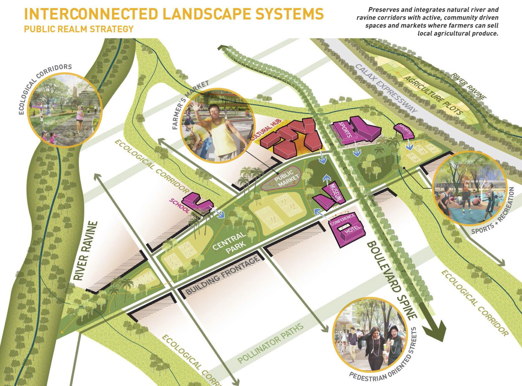 Graphic of interconnected landscape systems