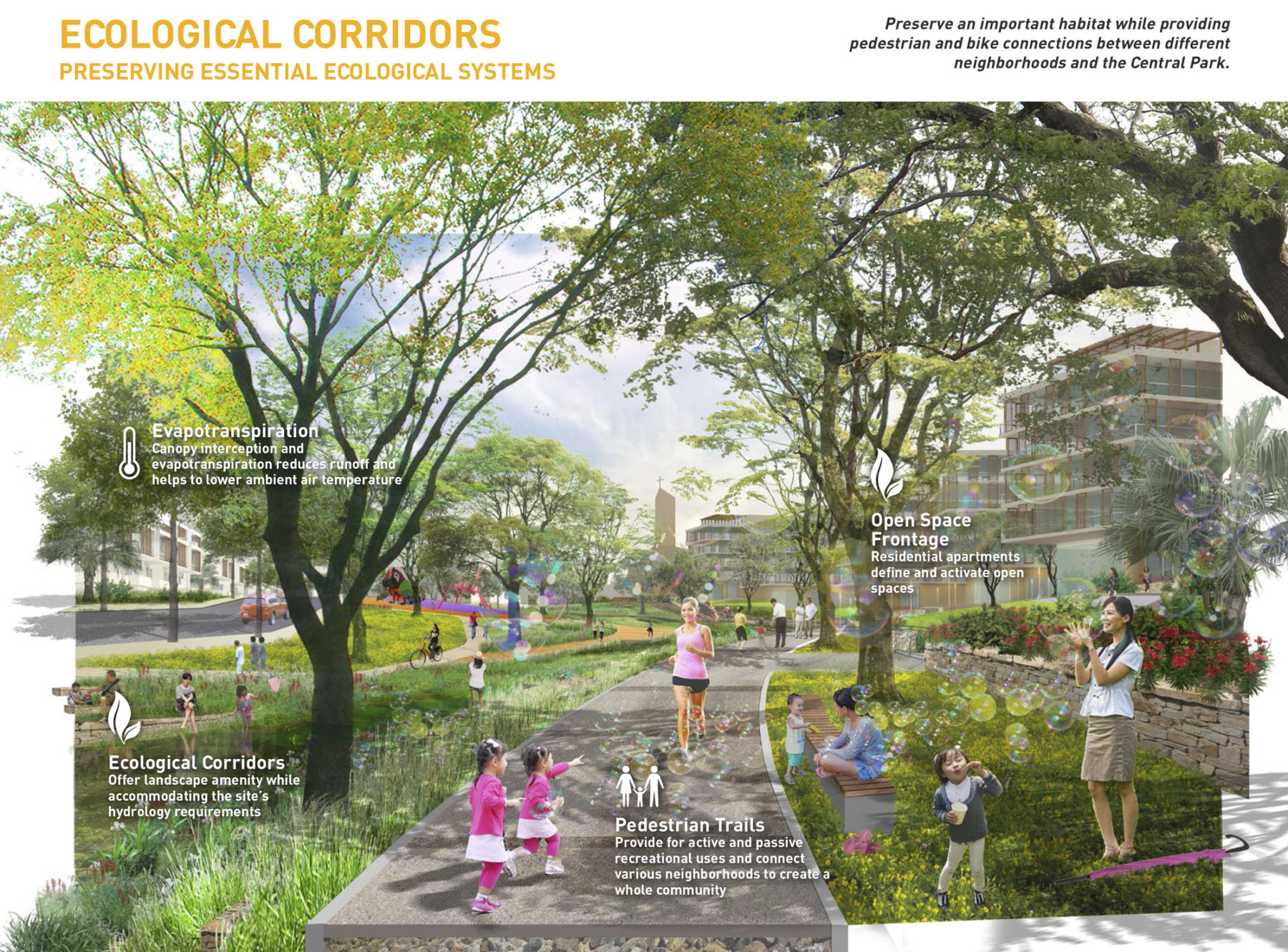 Diagram of ecological corridors