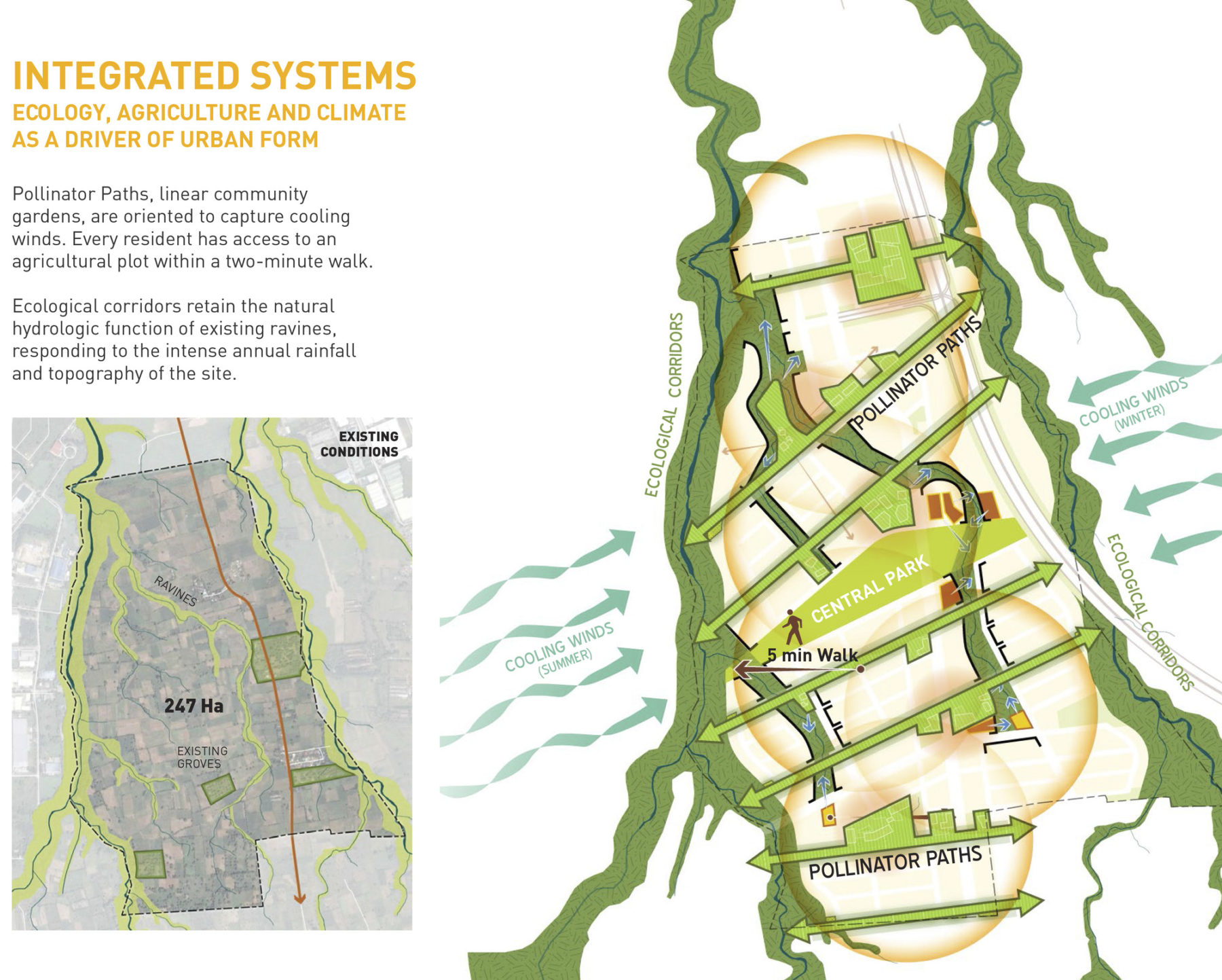 Diagram of integrated systems at Ananas