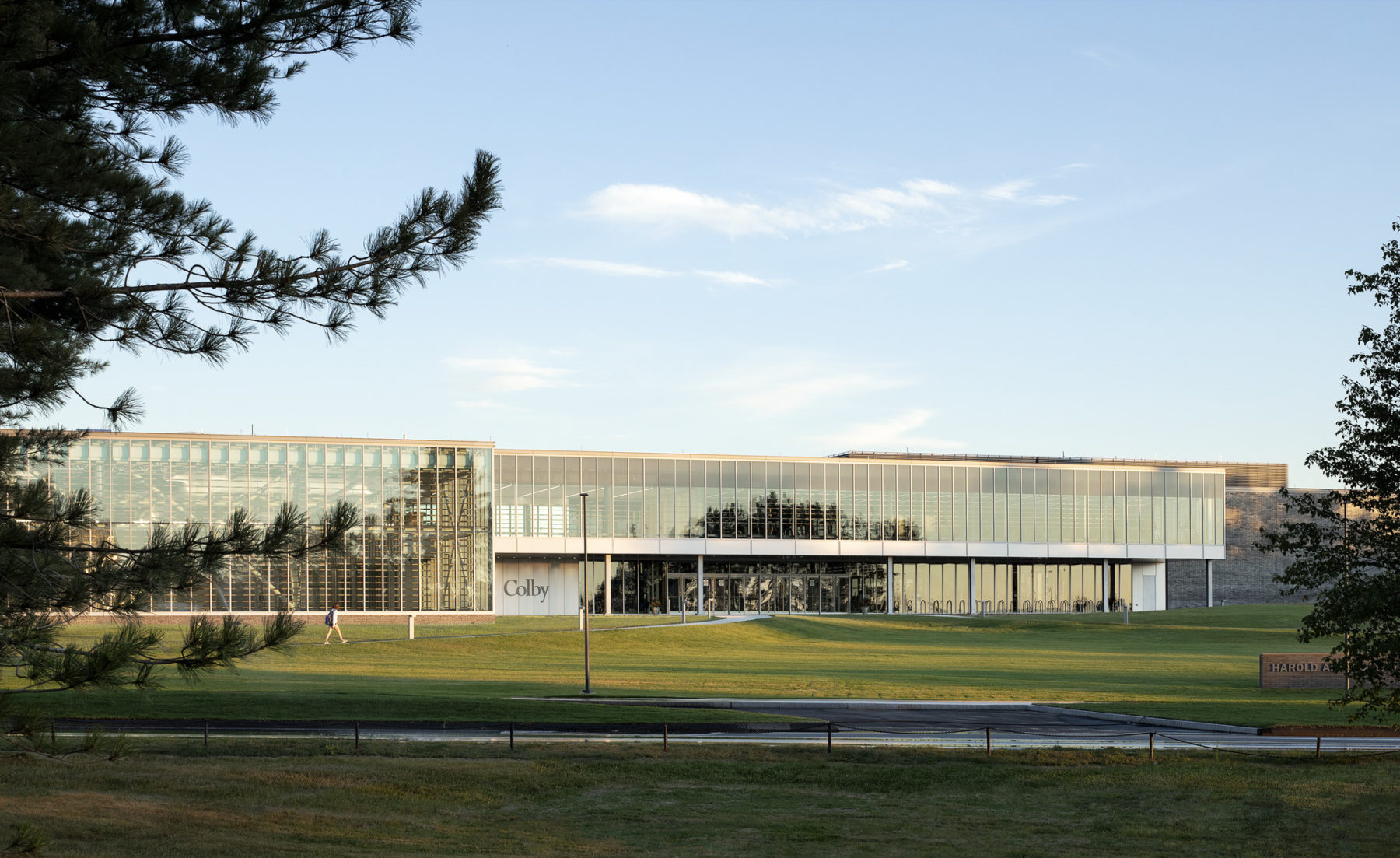 photo of building exterior through trees in the foreground