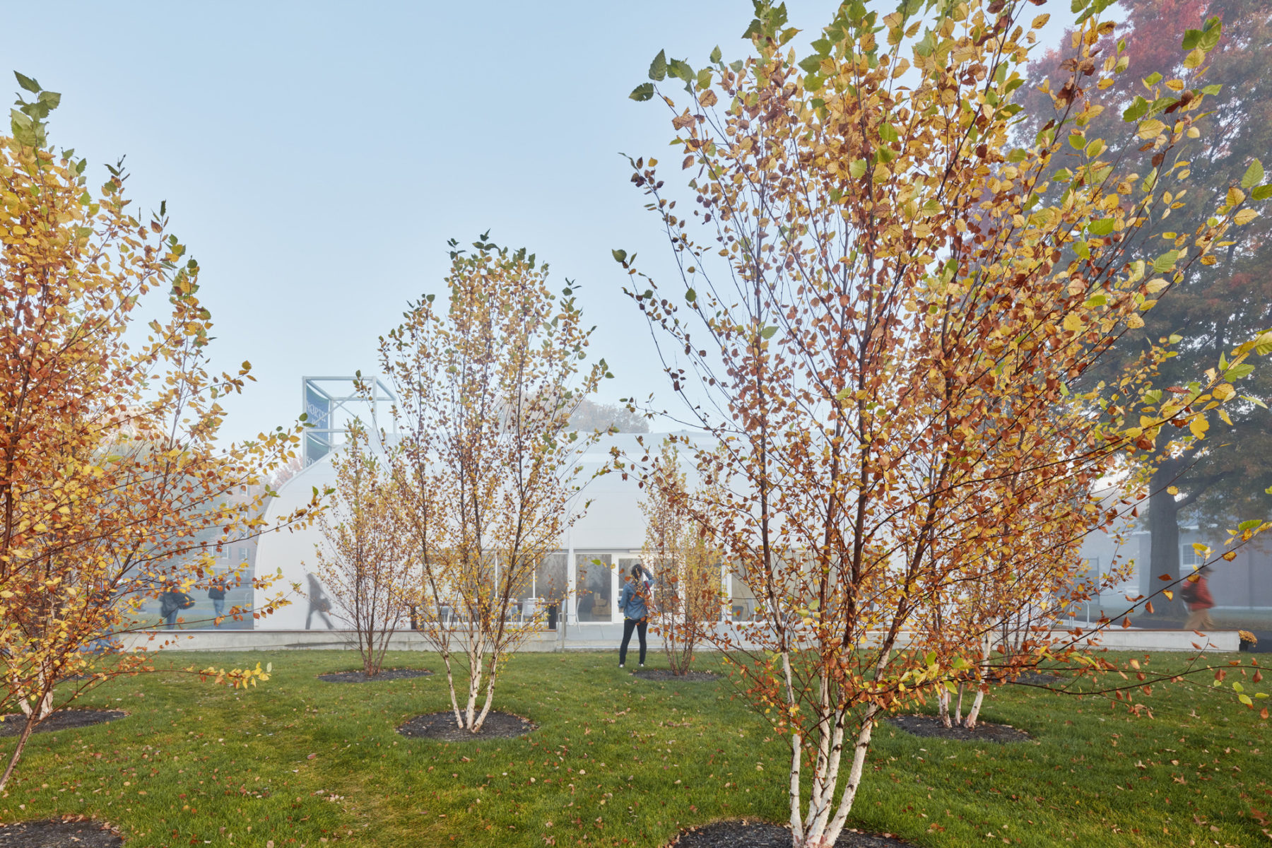 trees and building in the background