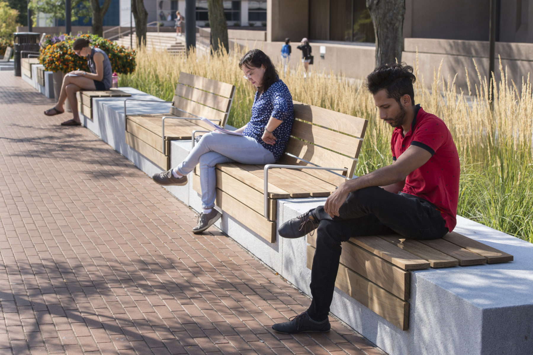 people sitting on benches