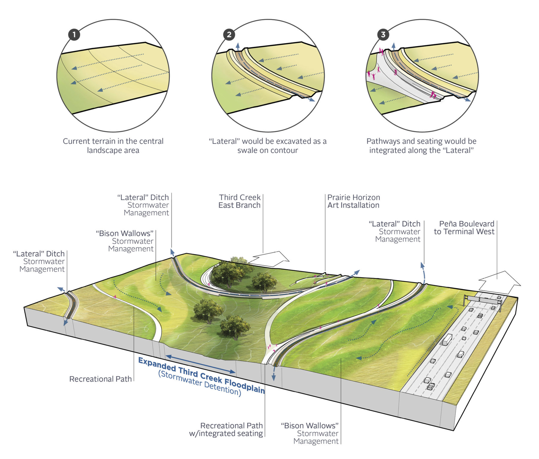 Diagram of landscape strategies