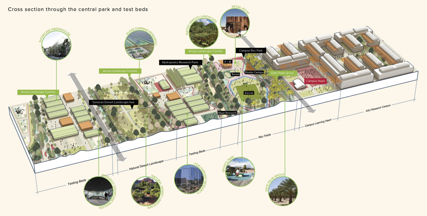 Cross section of central park