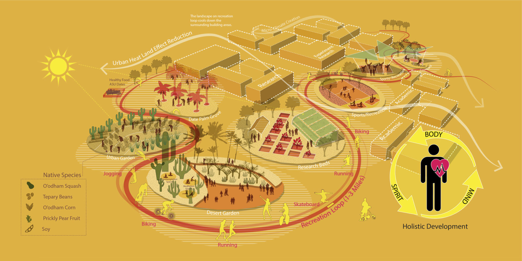 Urban head reduction plan