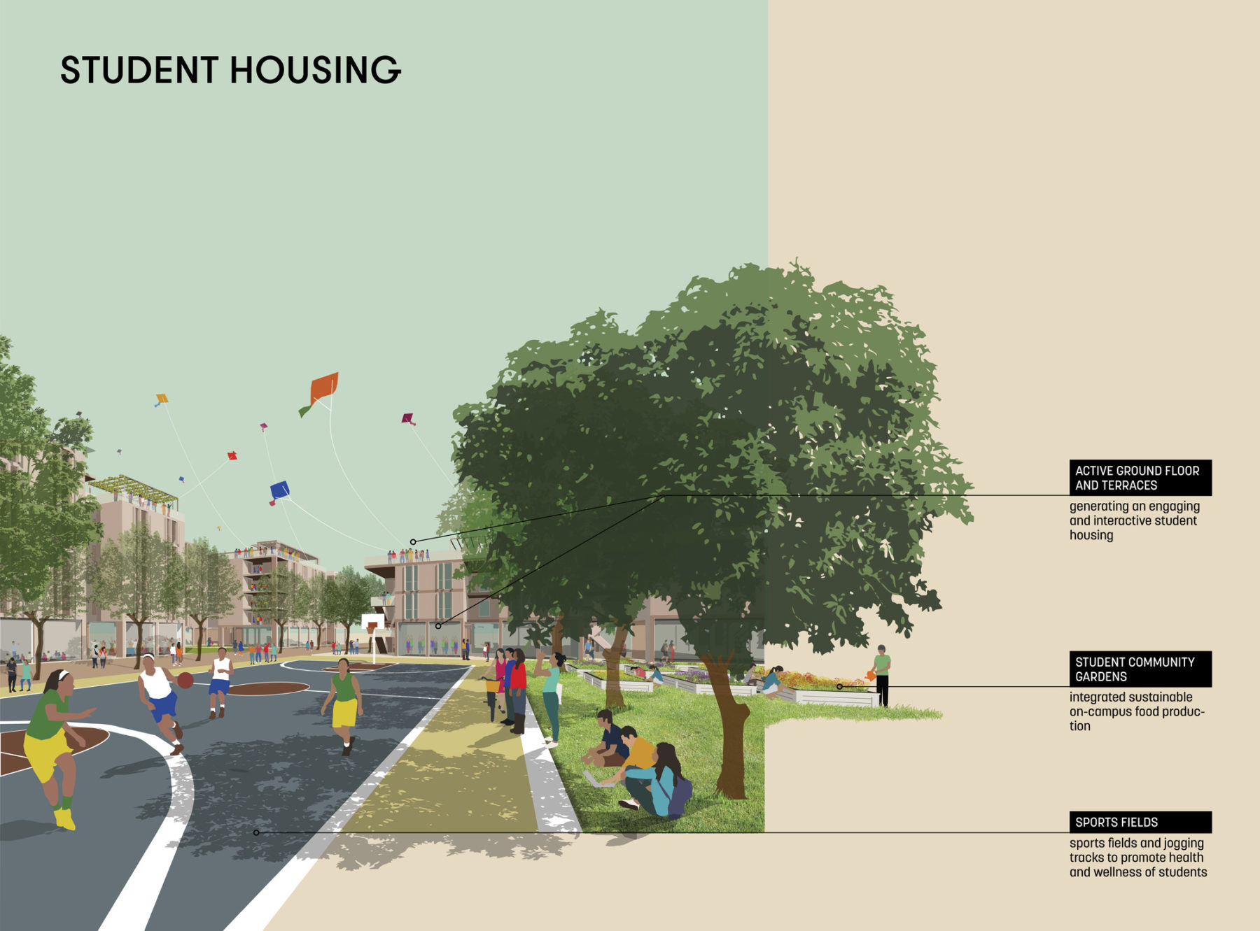 Student housing rendering