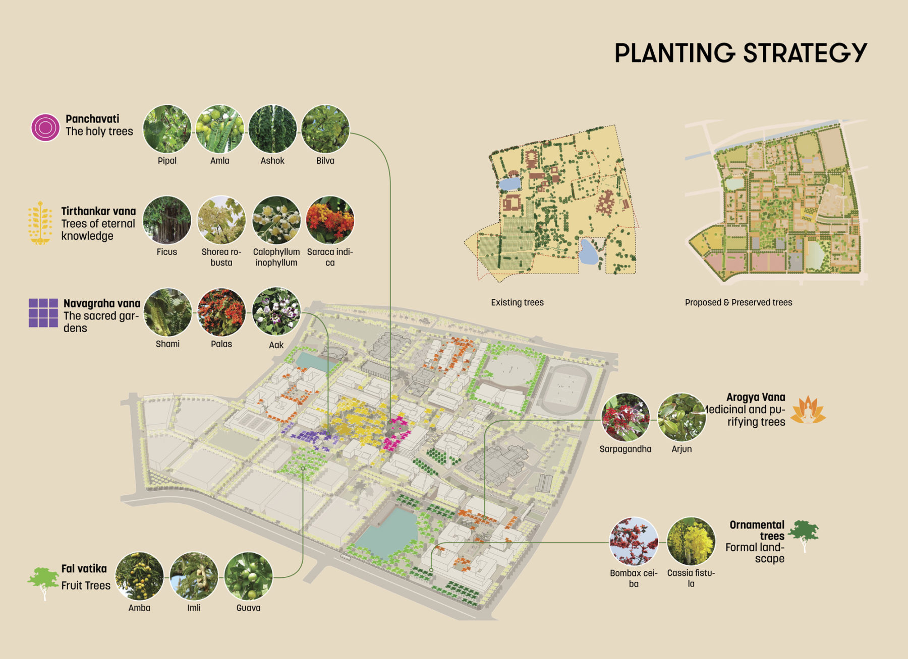 Planting strategy diagram