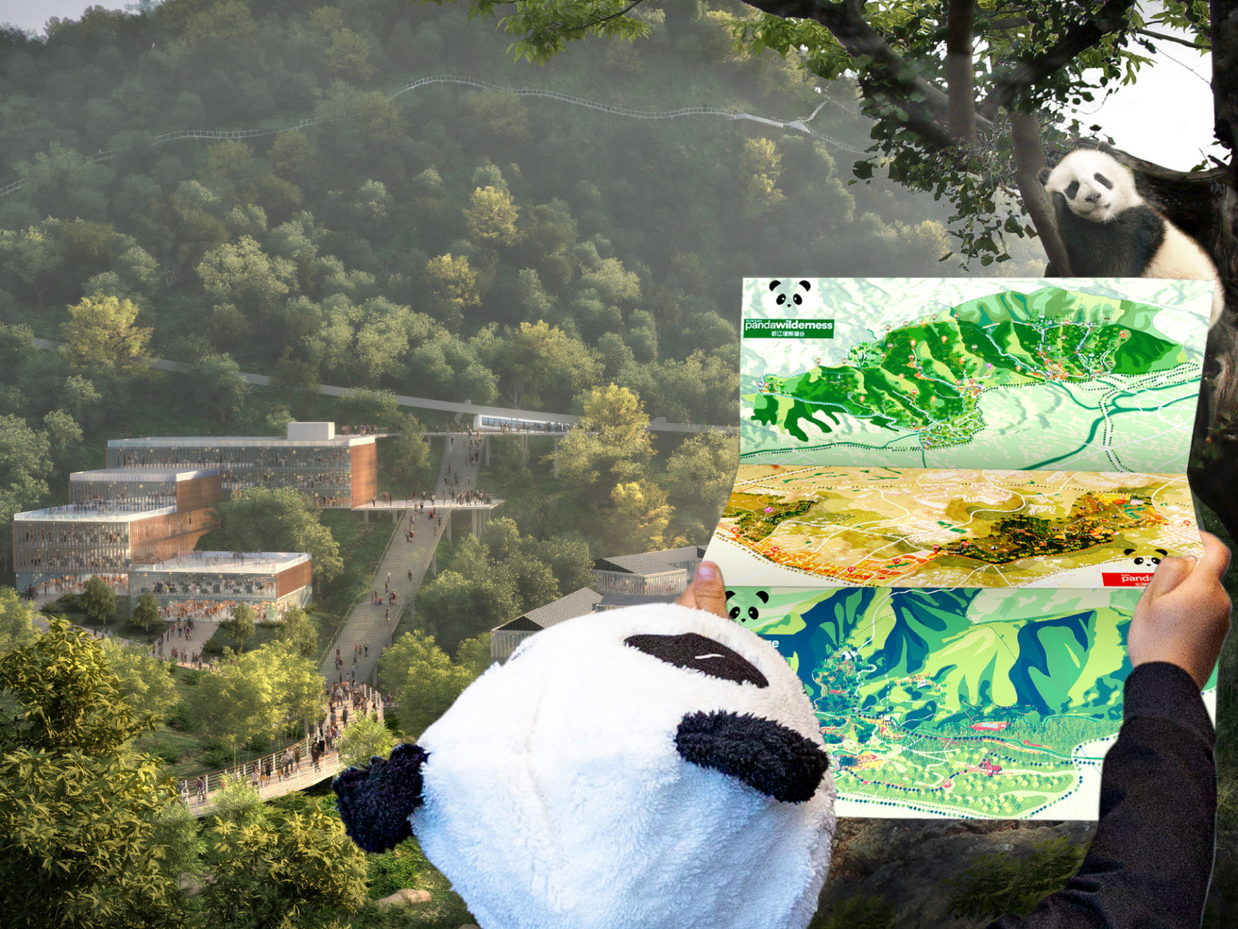 Panda capital rendering