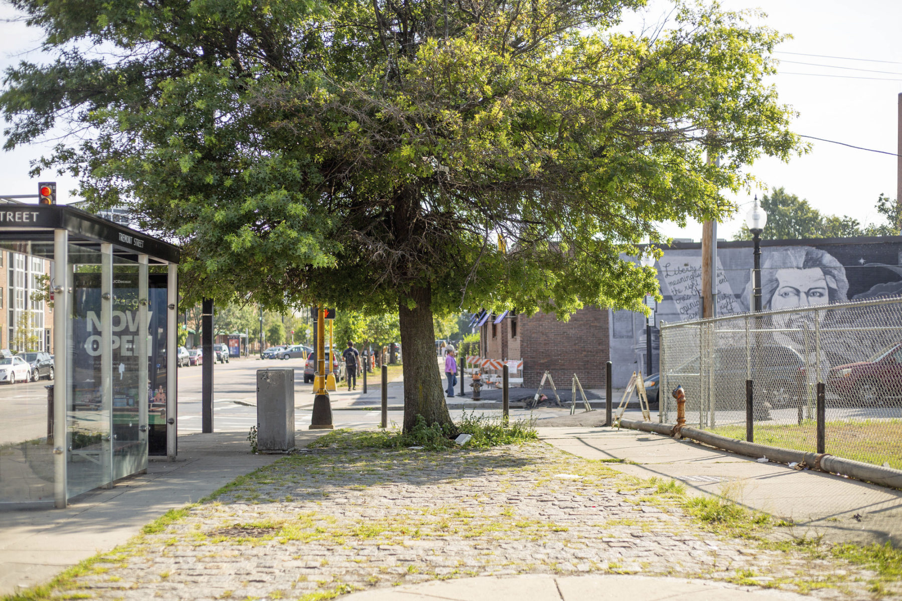 A street in Roxbury