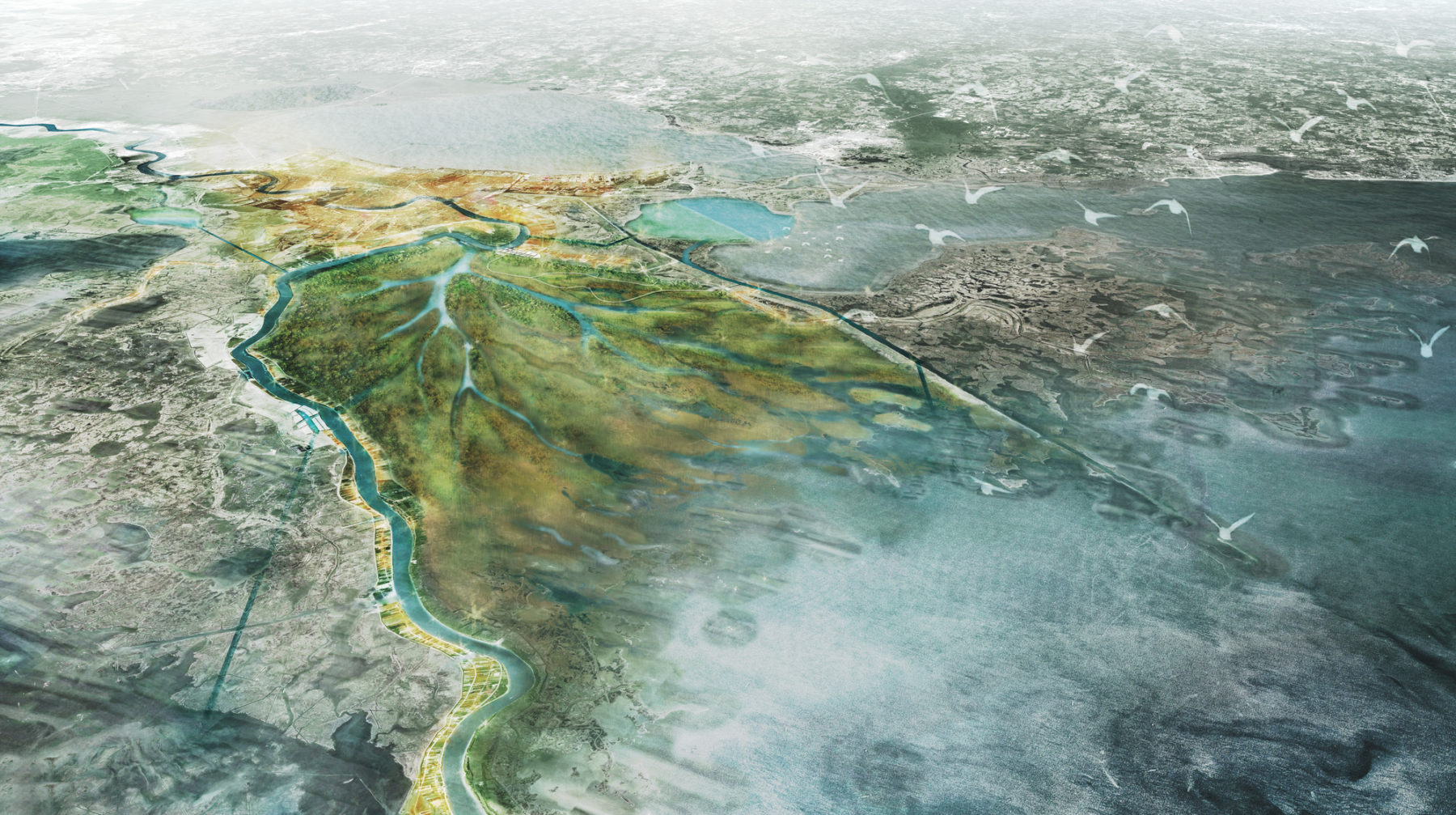 Bird-eye rendering of Mississippi Delta.
