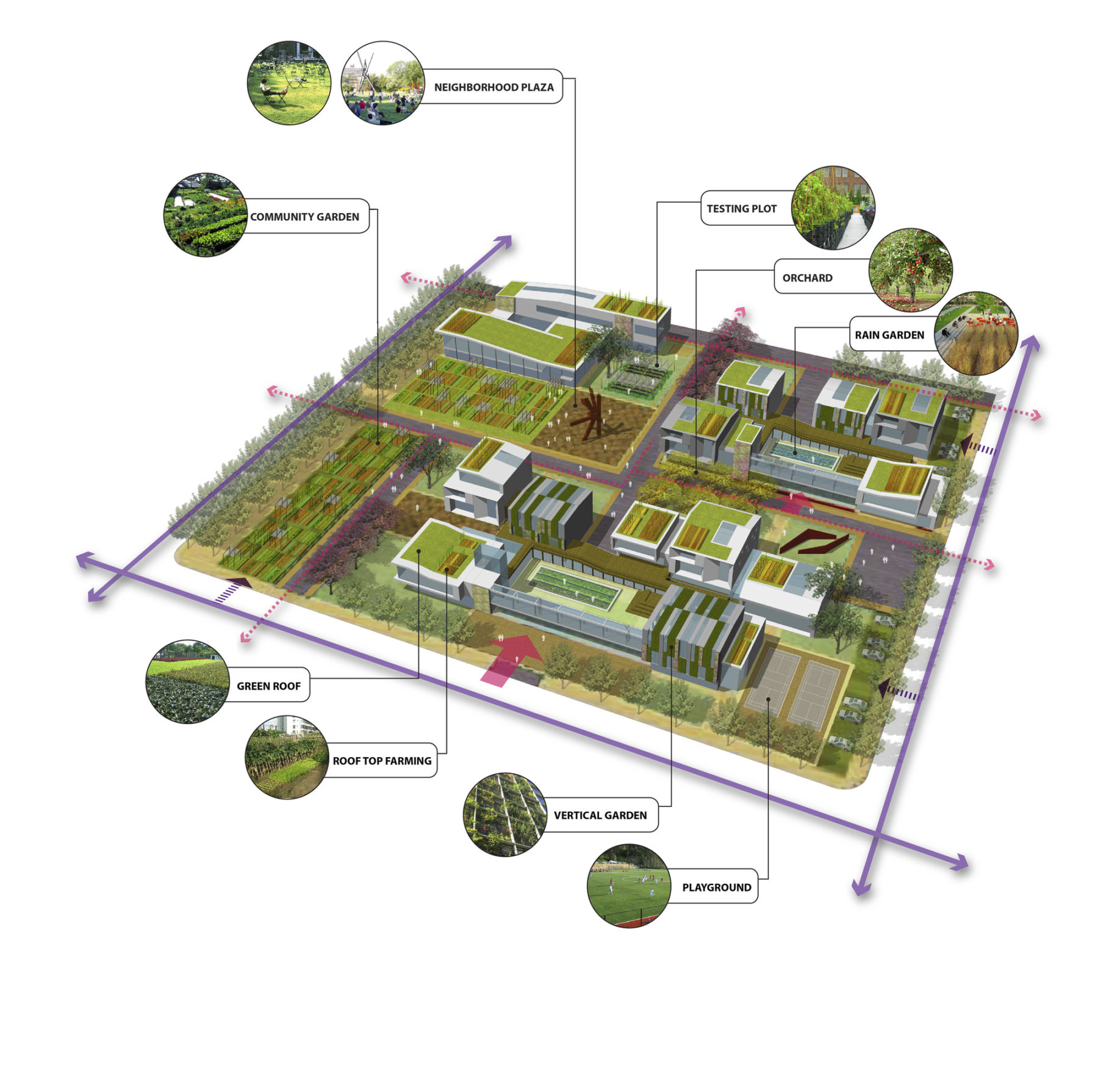 diagram of agriculture types